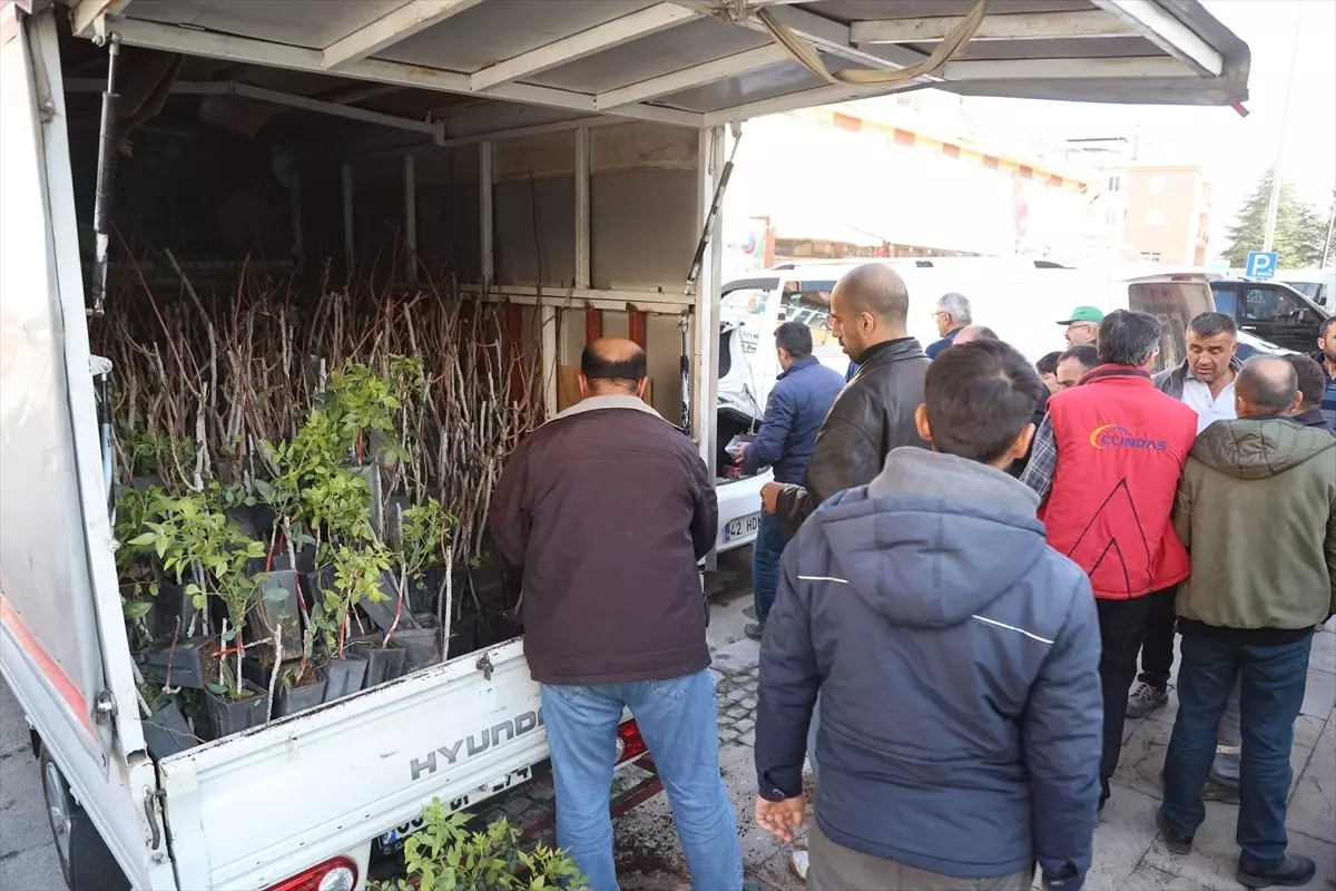 Konya’da Çiftçilere Antep Fıstığı Desteği